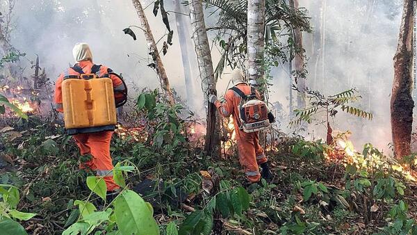 Ejército colabora con los bomberos en el combate y extinción de incendios - El Trueno