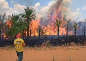 Bomberos, acuartelados al 100%: 95% de incendios son provocados - Nacionales - ABC Color
