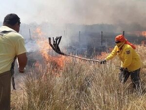 Alerta roja: 31 focos de incendios amenazan bosques nativos del país · Radio Monumental 1080 AM