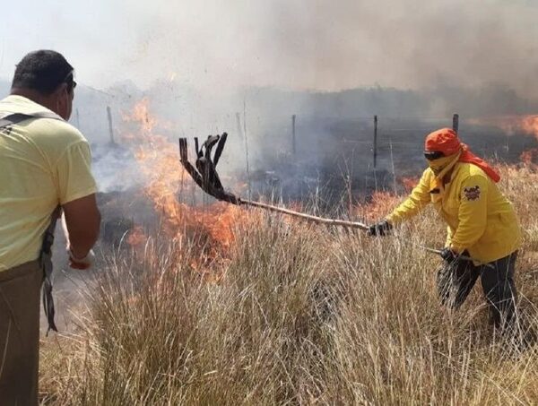Alerta roja: 31 focos de incendios amenazan bosques nativos del país · Radio Monumental 1080 AM