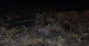 Diario HOY |  Hombre muere tras inhalar humo mientras quemaba el campo