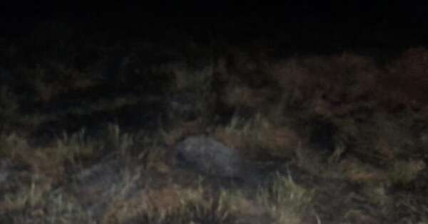 Diario HOY | Hombre muere tras inhalar humo mientras quemaba el campo
