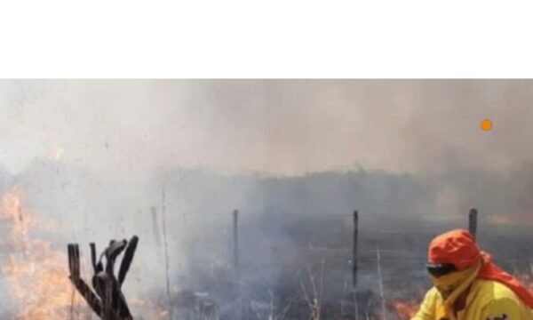 Intenso calor e incendios forestales inundan Paraguay