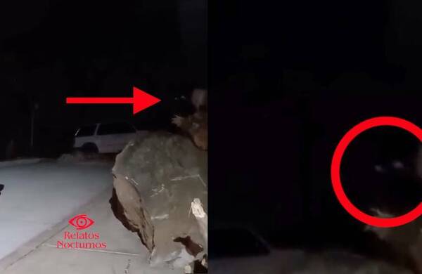 Jugaban a las escondidas pero una sombra tenebrosa se metió