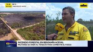 Video: lograron controlar el incendio forestal en Benjamín Aceval - ABC Noticias - ABC Color