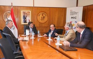 Buscan impulsar la energía solar fotovoltaica en Paraguay - .::Agencia IP::.