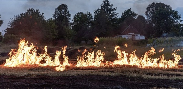 Ola de calor sumada a la irresponsabilidad generan los descontrolados incendios forestales - Megacadena - Diario Digital