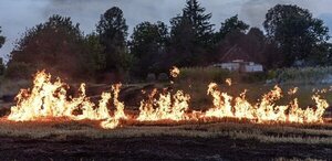 Ola de calor sumada a la irresponsabilidad generan los descontrolados incendios forestales