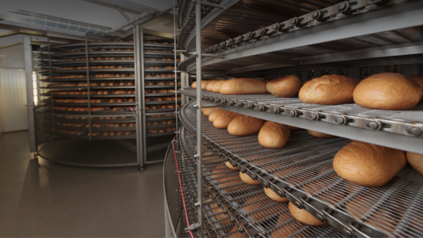 Anuncian estabilidad en los precios de panificados ante la baja en costos de harina - trece