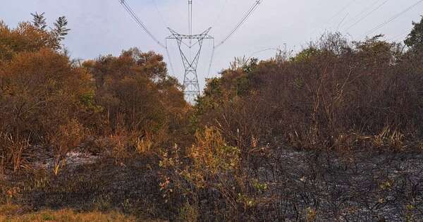 Diario HOY | Cortes de energía eléctrica: Ande responsabiliza a incendio provocado bajo la línea de distribución
