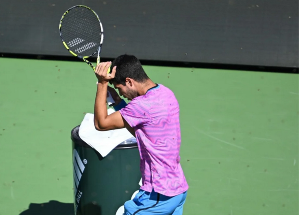 Insólito: suspenden un partido de tenis por una invasión de abejas en Indian Wells