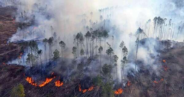 La Nación / Bomberos, atentos ante ola de incendios