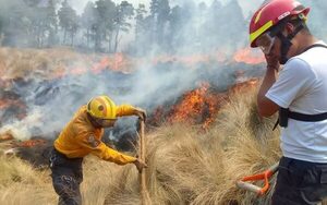 Bomberos incansables con incendios forestales piden apoyo de la ciudadanía