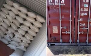 Se concretó la primera exportación de yerba mate paraguaya a Egipto