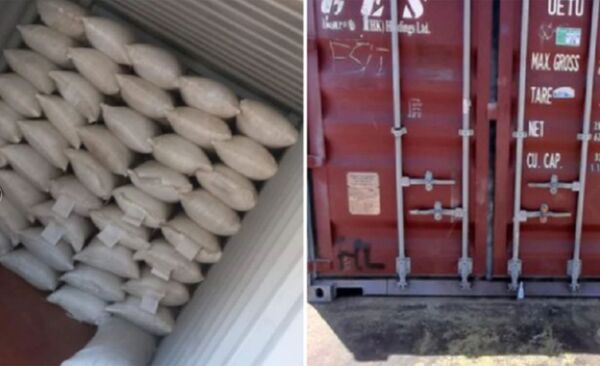 Se concretó la primera exportación de yerba mate paraguaya a Egipto