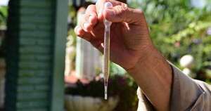 La Nación / Reportaron 5.664 casos de dengue en últimas semanas