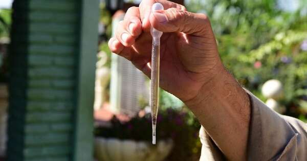 La Nación / Reportaron 5.664 casos de dengue en últimas semanas