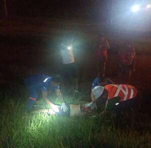 Motociclista muere y otros cuatro quedan heridos en accidente sobre la ruta PY02 - ABC en el Este - ABC Color