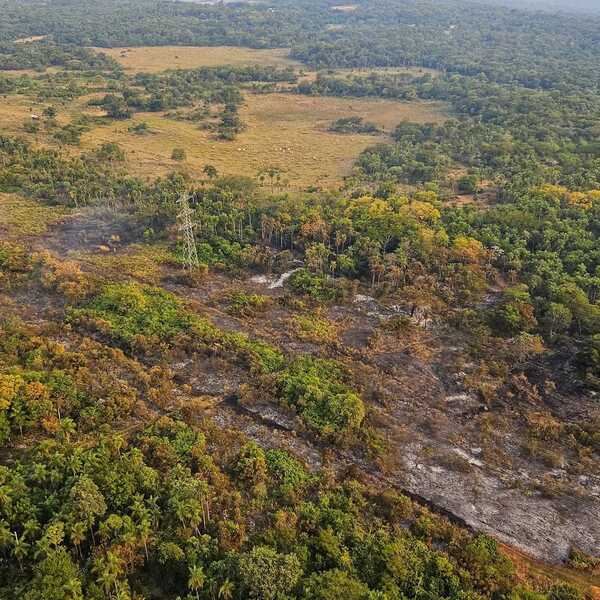Monitorean calidad del aire a causa de incendios e instan a la ciudadanía a evitar las actividades al aire libre - .::Agencia IP::.