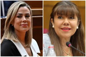 Lizarella afirma que Celeste Amarilla cometió “delitos continuos”