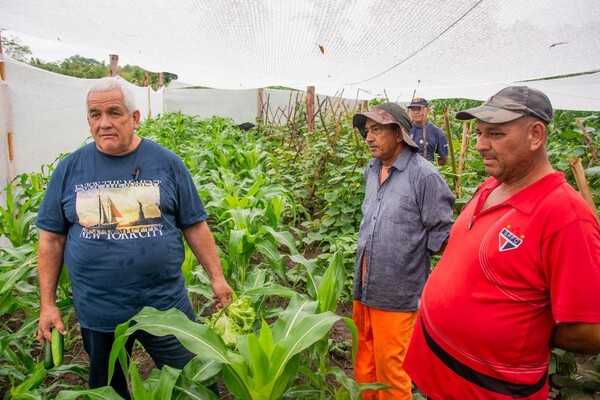 Desarrollan exitosa huerta orgánica intensiva en la penitenciaría “Padre de la Vega” - .::Agencia IP::.