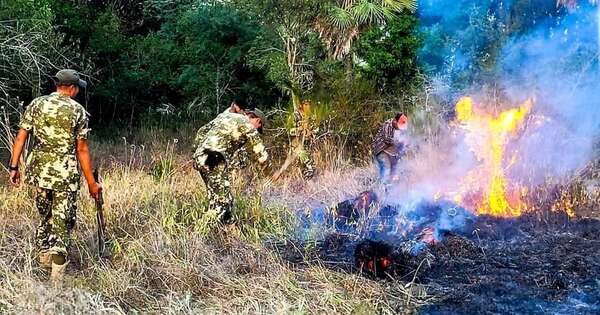 La Nación / Fuerzas Armadas ponen en marcha equipos para luchar contra incendios