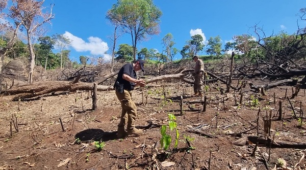 Arranca plan de restauración de bosques afectados por el narcotráfico