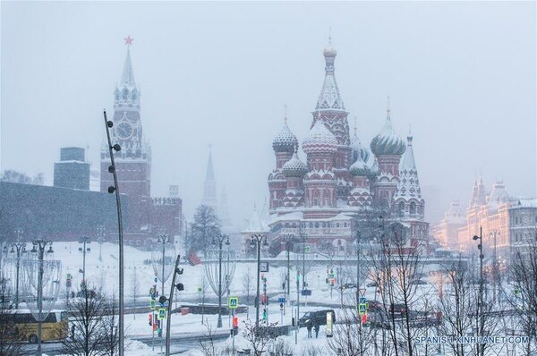 Versus / Del tereré al mate: brutal cambio de temperatura para la Albirroja en Rusia