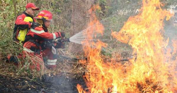 Diario HOY | Instan a conceder permisos a trabajadores que son bomberos para combatir incendios