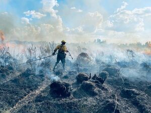 Instalan mesa de crisis ante aumento de incendios forestales - trece