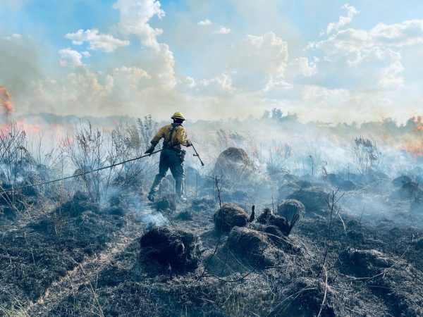 Instalan mesa de crisis ante aumento de incendios forestales - trece