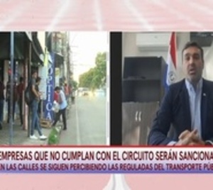 Viceministro dice que no hay pedido oficial de suba del pasaje - Paraguay.com