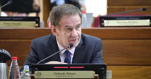 La Nación / Instalarán en el Senado una comisión especial de agua para el Chaco