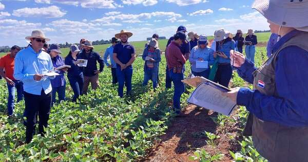 La Nación / Semilleros fueron capacitados en certificación e inspección de campos