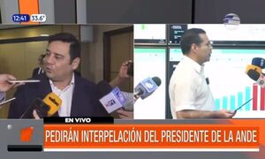 Pedirán interpelación del presidente de la Ande | Telefuturo