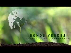 Paraguay pospone programa de emisión de créditos de carbono - La Tribuna