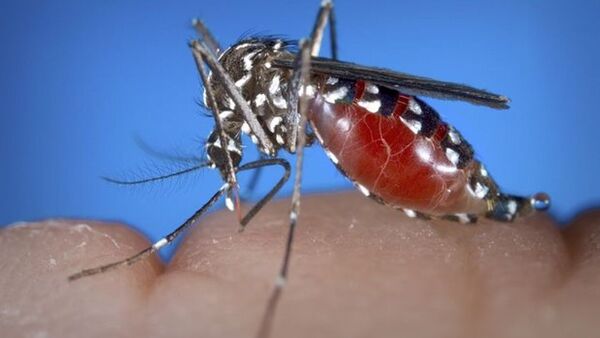 Brasil bate su récord histórico de casos de dengue con más de 1,88 millones de contagios