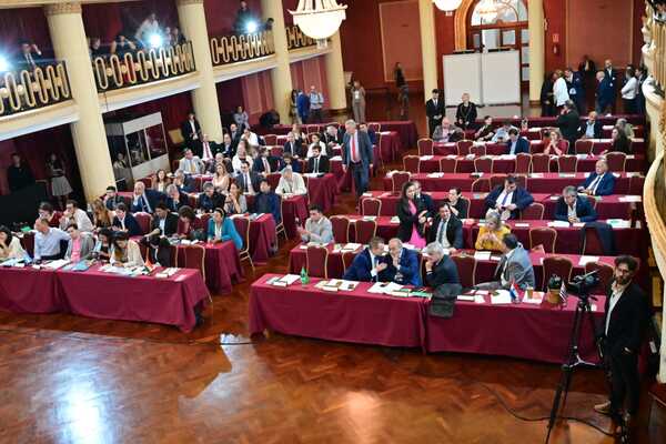Representantes paraguayos se pronuncian ante incidentes en el Parlasur - ADN Digital