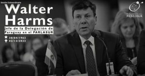 En el Parlasur rinden homenaje al extinto diputado Walter Harms - ADN Digital