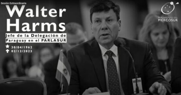 En el Parlasur rinden homenaje al extinto diputado Walter Harms - ADN Digital