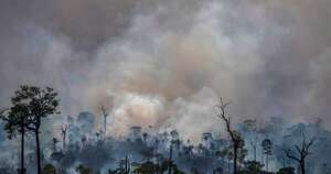 La Nación / Amazonia: deforestación se reduce al mínimo en el primer bimestre desde 2018