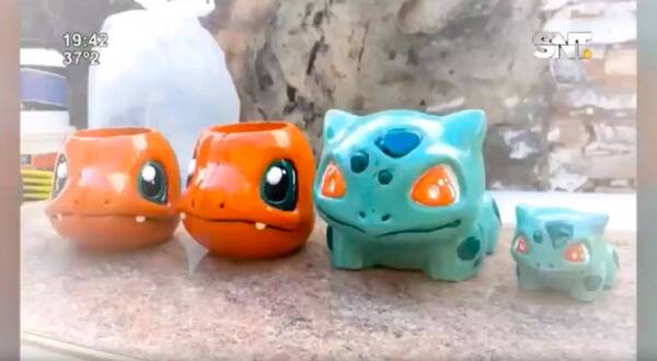 Planteras de Pokémon - SNT