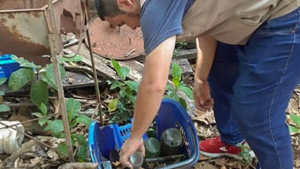 CDE: Senepa pide duras sanciones a dueños de predios con criaderos