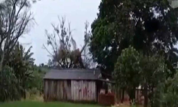 Caída de rayo dejó dos personas heridas en Canindeyú – Prensa 5