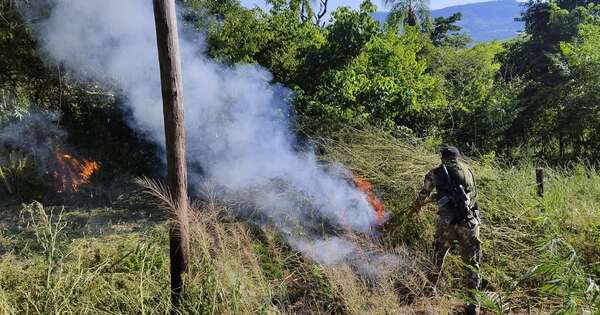 Diario HOY | Eliminaron 20 toneladas de drogas en Bella Vista Norte