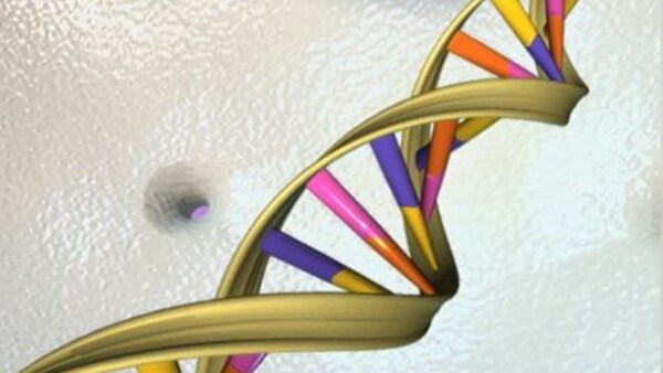 Estados Unidos aprueba la primera terapia de genes para niños con una rara enfermedad hereditaria