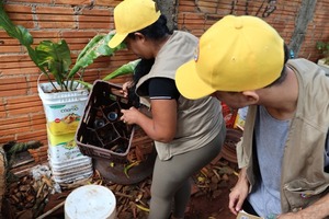 Se intensifica labor del SENEPA en la lucha contra el dengue en Alto Paraná - La Clave