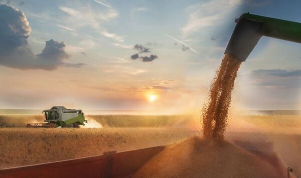 Exportaciones agropecuarias dan el impulso para seguir creciendo este año, destaca UGP - MarketData