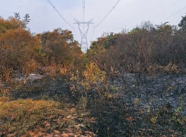 ANDE denuncia incendios provocados que afectaron al suministro de energía