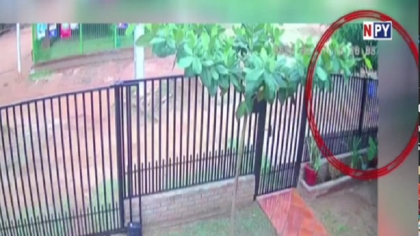 Niño de 4 años fue arrollado por un motociclista - Noticias Paraguay